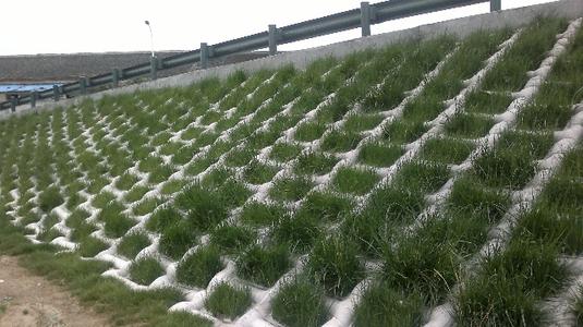Highway embankment grouted mattress slope protection